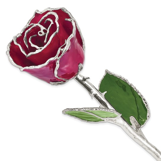 Burgundy Lacquer Dipped Rose