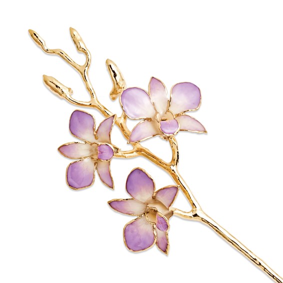 Lacquer Dipped Orchid