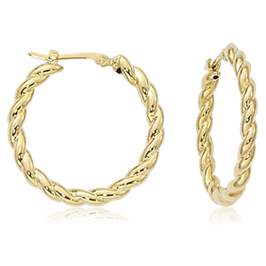Small Twist Hoops